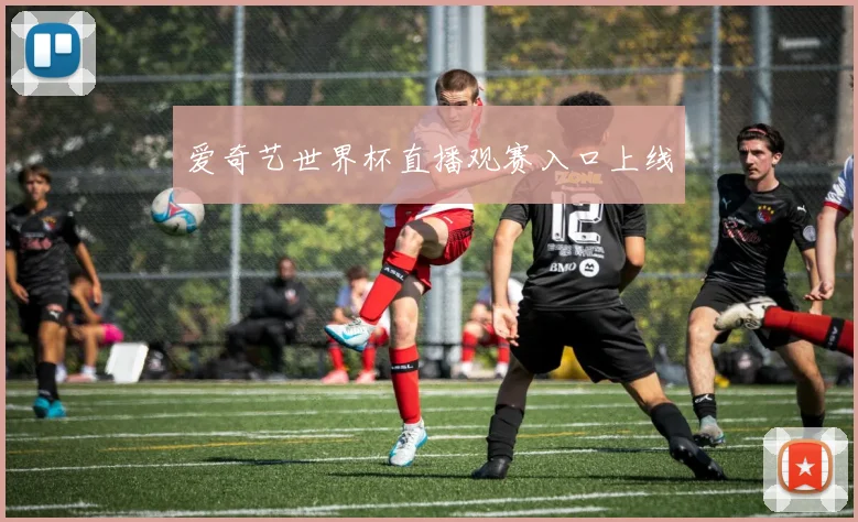 爱奇艺世界杯直播观赛入口上线