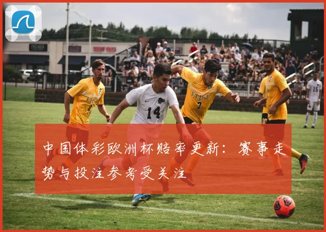 中国体彩欧洲杯赔率更新:赛事走势与投注参考受关注